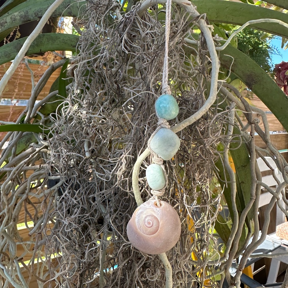 Shark Eye Shell And Amazonite - image 3